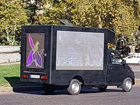 Tbilisidə Zəfər Günü ilə bağlı AKSİYA