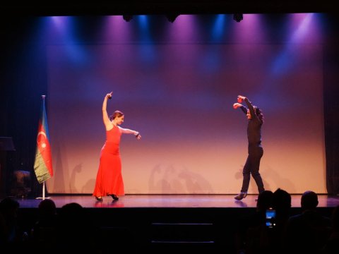 Azərbaycan diasporunda möhtəşəm Zəfər Günü - VİDEO