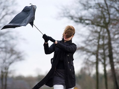 Bakıda külək, rayonlarda duman olacaq