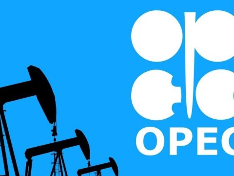 OPEC-dən neft hasilatı PROQNOZU