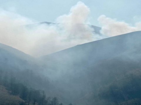 Ermənistanla sərhəddəki yanğın söndürüldü