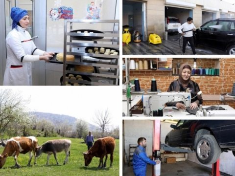 Onların sayı 80.000 nəfərə çatacaq - Komitə sədrindən ANONS