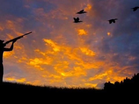 Ovçulardan qadağan olunmuş ov alətləri götürüldü