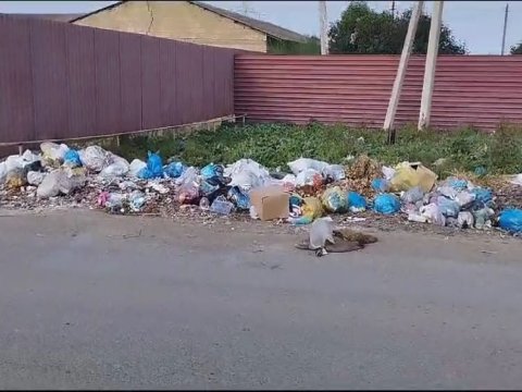 Cəlilabadda ətrafı mühiti çirkləndirənlər cərimələndi