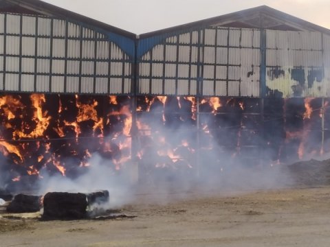 “Yalama Aqropark”da yanğın - FOTO