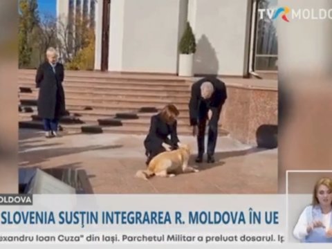 Prezidentin iti Avstriya liderinin əlini dişlədi - VİDEO