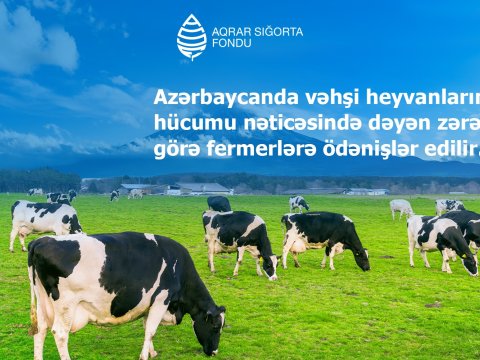 Vəhşi heyvanların hücumundan dəymiş zərərə görə fermerlərə ödənişlərə BAŞLANILIB