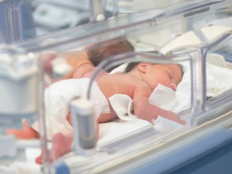 31 körpə Əl-Şifa xəstəxanasından təxliyə edildi