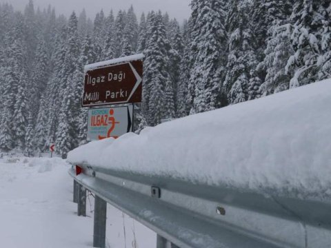 Qarın hündürlüyü 10 santimetri keçdi - FOTOLAR