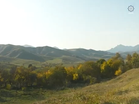 Cəbrayılda möhtəşəm qızıl payız - VİDEO