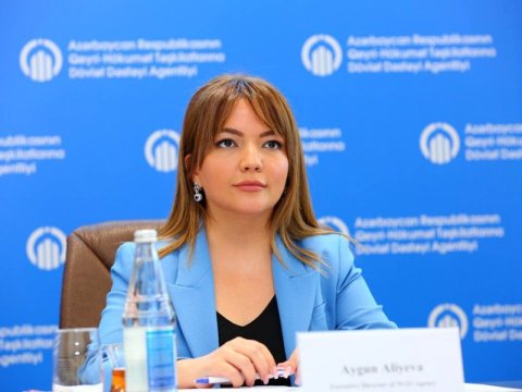 Azərbaycanda QHT-lərin 39 faizini qadınlar idarə edir - Aygün Əliyeva