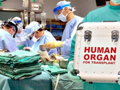 Orqan transplantasiyasının illik limiti açıqlandı - RƏSMİ