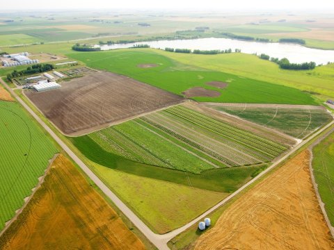 Doğma yurduna qayıdan sakinləri hansı güzəştlər gözləyir? - Subsidiyalar, yanacaq...
