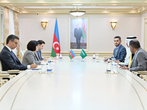 Sahibə Qafarova səfirlərlə danışıqlar apardı