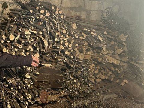 Şamaxıda ağac kəsən şəxs cərimələndi - FOTO
