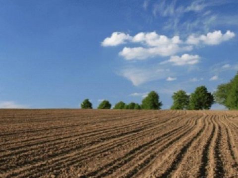 Bu kəndlərdə yaşayanlara pay torpaqları veriləcək - Komitə sədri AÇIQLADI