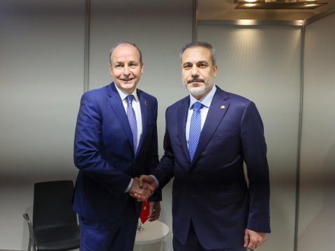 Fidan irlandiyalı həmkarı ilə müzakirələr apardı