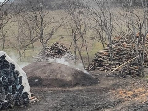 Qubada qanunsuz kömür quyusu aşkarlandı