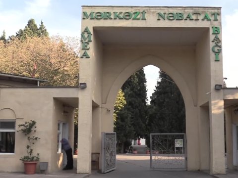 Mərkəzi Nəbatat Bağı bir ildir su pulu ödəmir - \