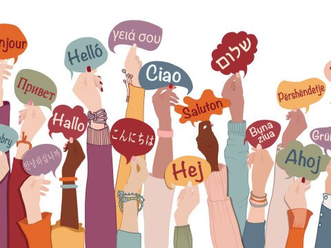 Dünyada ən çox hansı dillər bilinir... - ARAŞDIRMA