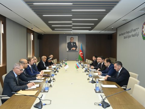 Azərbaycan və Əlcəzair arasında siyasi məsləhətləşmələr