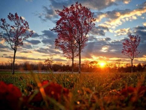 Dekabrın ilk gününün havası - 17 dərəcə isti olacaq