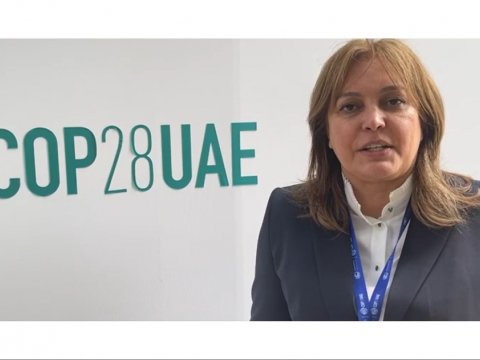 Dubayda BMT-nin İqlim Dəyişikliyi üzrə Çərçivə Konvensiyasının konfransı işə başlayıb