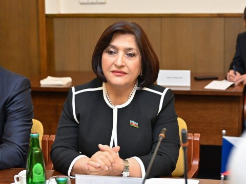 Spiker Çexiyada dostluq qrupunun üzvləri ilə görüşdü - FOTO