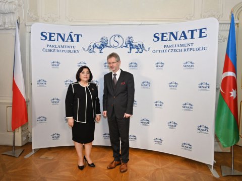 Spiker Çex Parlamentinin Deputatlar Palatası və Senatının sədrləri ilə görüşdü