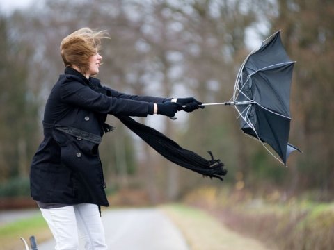 Bakıda külək, rayonlarda duman - Sabahın havası