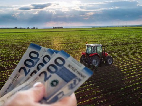 Ərzaqlıq buğda ilə bağlı kreditlər kimlərə veriləcək... - VİDEO