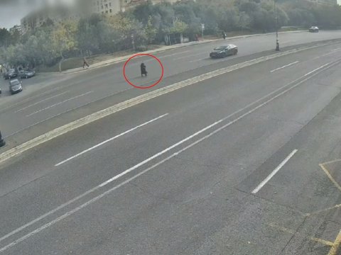 Bakıda ölümlə nəticələnən yol qəzası - VİDEO