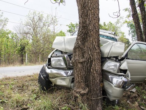 Zərdabda maşın ağaca çırpıldı - Ölən və xəsarət alan var