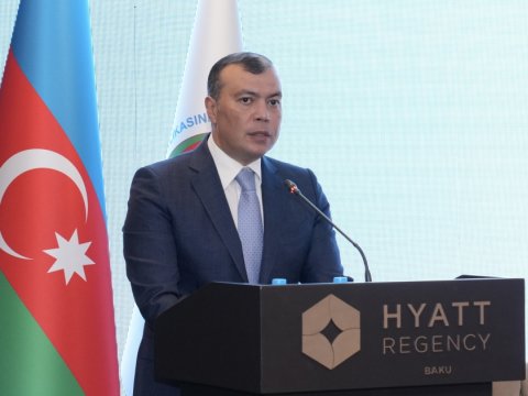 Zorakılığa ən çox məruz qalan uşaqlar və qadınlardır - Sahil Babayev