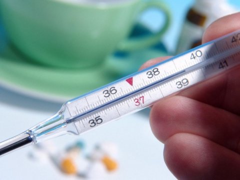 Qızılca zamanı temperaturu parasetamolla salmaq olar