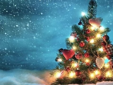 Müğənnilərin bayram gecəsi konserti üçün tələb etdiyi MƏBLƏĞLƏR