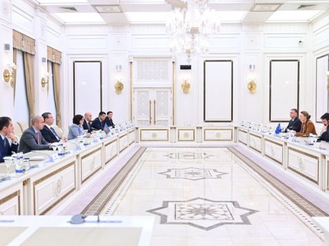 Sahibə Qafarova Avropa Şurasının Baş katibi ilə görüşdü 
