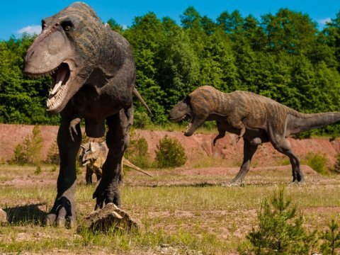 Alimlər dinozavrların kütləvi ölüm səbəbini AÇIQLADILAR