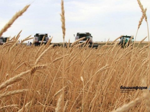Başqırdıstan Azərbaycana 500 ton buğda göndərdi