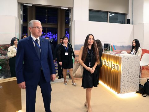 Dubayda COP-29 tədbiri - Leyla Əliyeva da iştirak etdi
