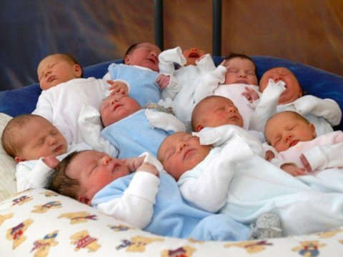 8 ayda 2854 əkiz, 123 üçəm, 4 dördəm doğulub