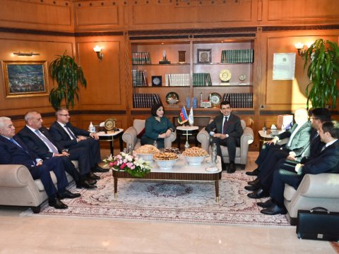 Sahibə Qafarova Baş direktorla görüşdü