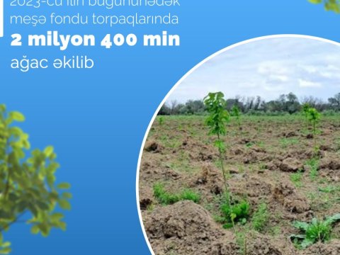 Bu il  2 milyon 400 min ağac əkilib