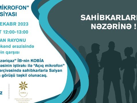 Sahibkarlarla növbəti görüş Salyanda keçiriləcək