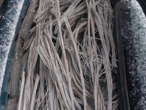 Elektrik naqilləri oğurlayan şəxslər saxlanıldı