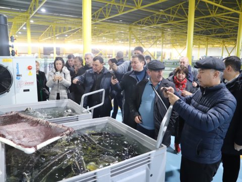 Regional Komissiyanın iştirakçıları balıqyetişdirmə zavodunda - FOTOLAR