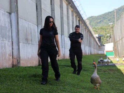 Həbsxananı qazlar qoruyacaq - FOTOLAR
