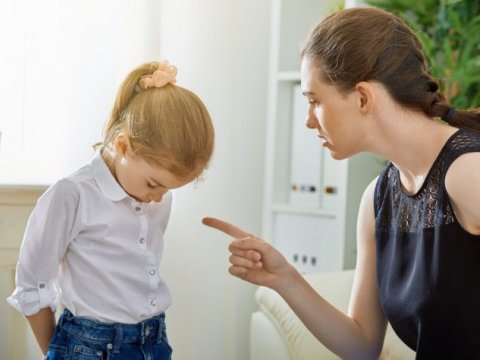 Deputat dayələrlə bağlı cəza mexanizminin salınmasını təklif etdi