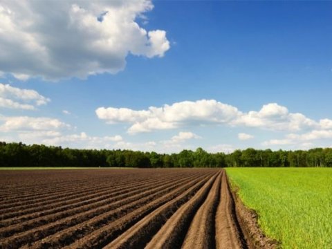 Torpaq payı olan şəxslərin NƏZƏRİNƏ 