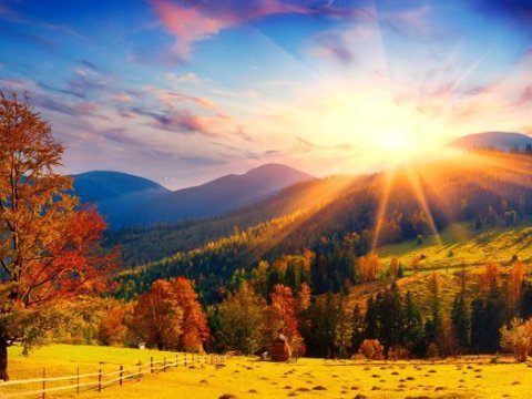 Bazar gününün havası - Külək, 18 dərəcə isti...